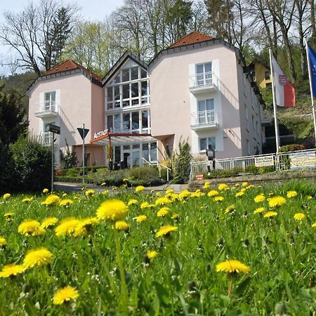 Altstadthotel An Der Werra Meiningen Bagian luar foto