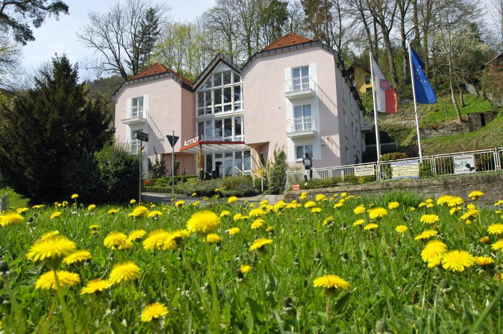 Altstadthotel An Der Werra Meiningen Bagian luar foto